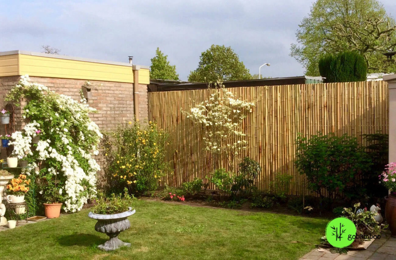 inspirace bambusový plot